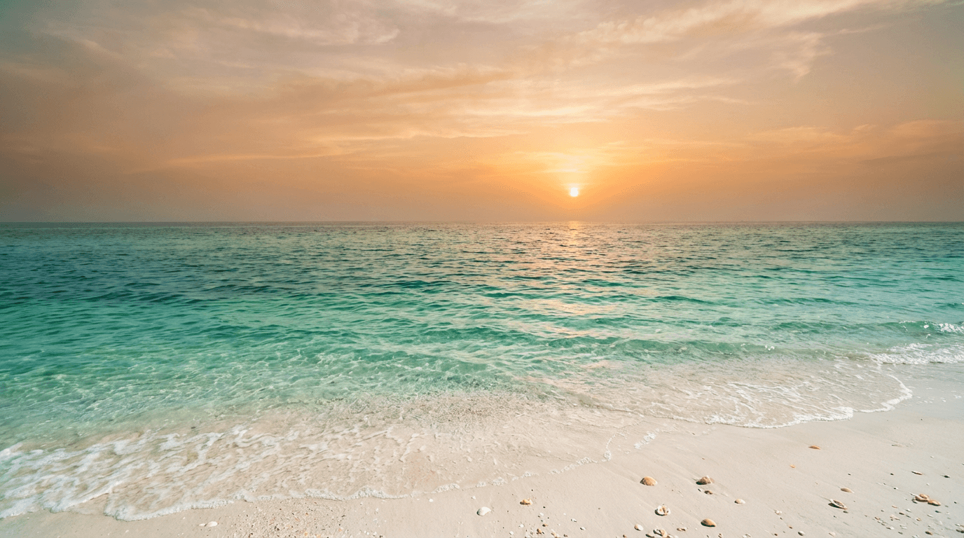 Pristine Caribbean coastal environment where sea moss is sustainably sourced